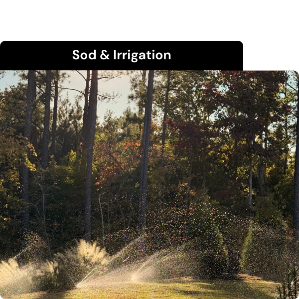 Sod & Irrigation