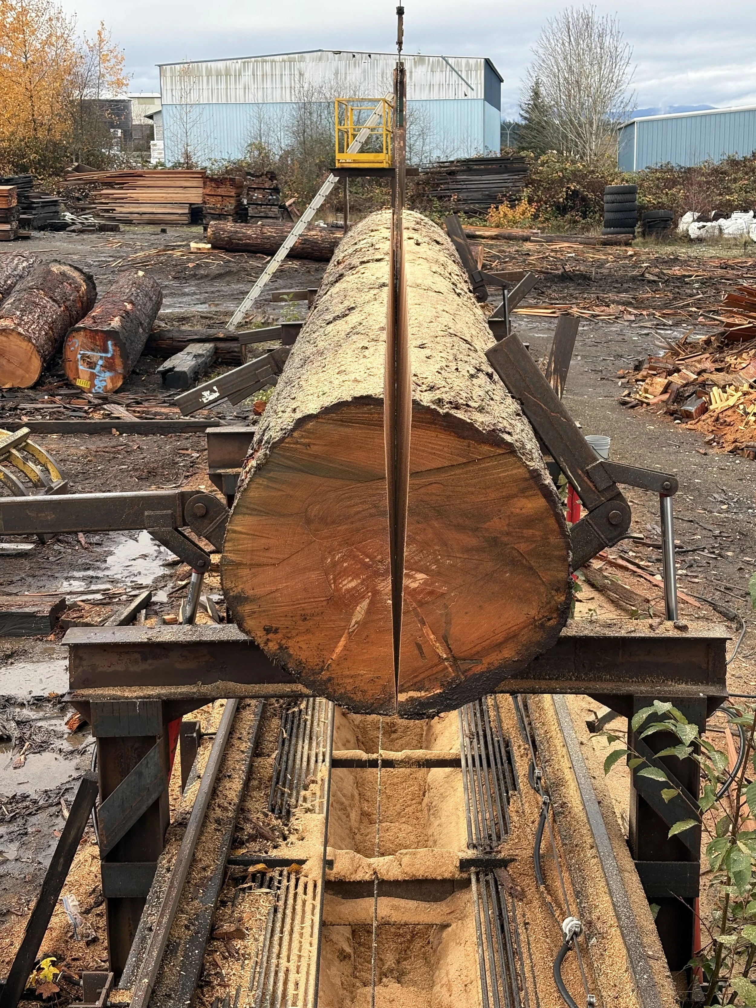 A large logs being processed in a sawmill, with the log held in place by machinery, and a saw blade in the center of the image, surrounded by wood debris and equipment.