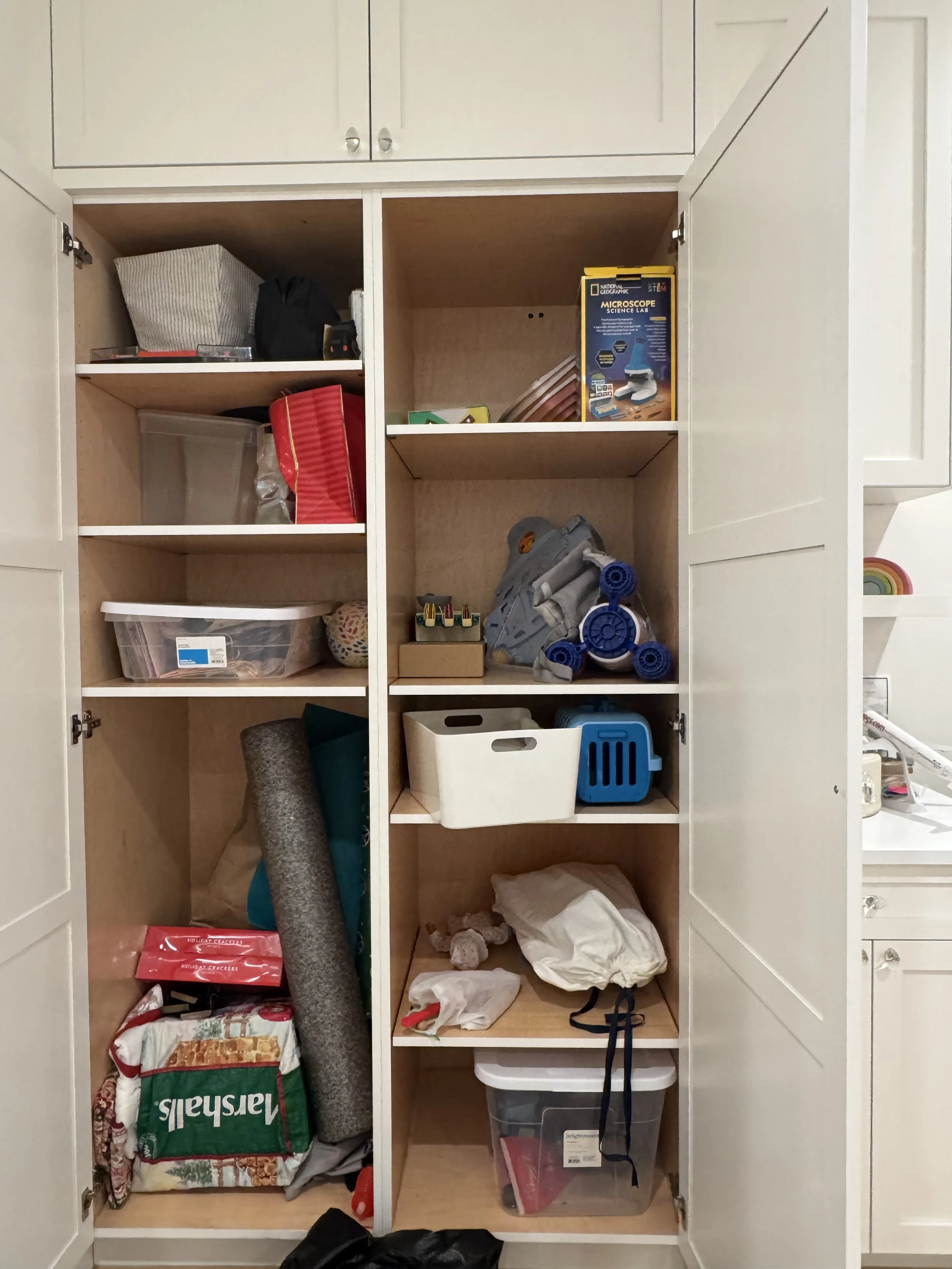 Before (Storage Closet)