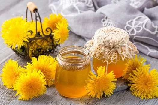 Gänseblümchen- oder Löwenzahn-Gelee