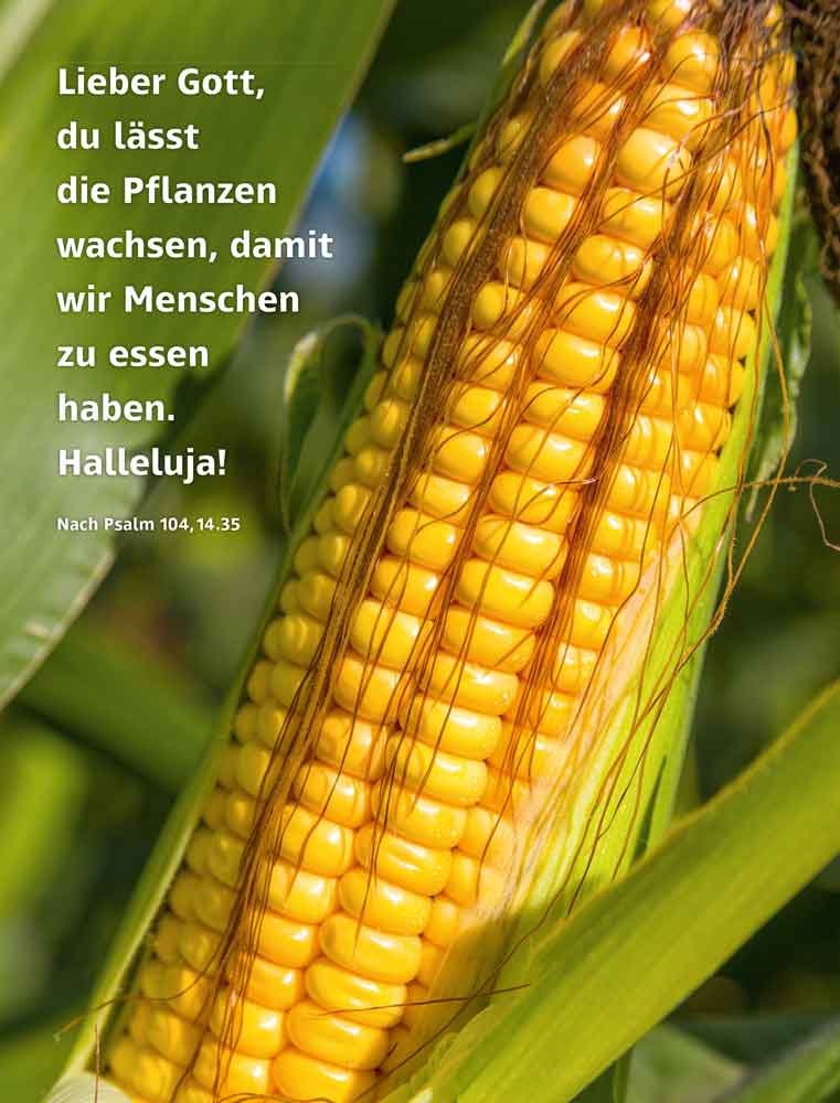 A4-Poster mit Dankpsalm 104