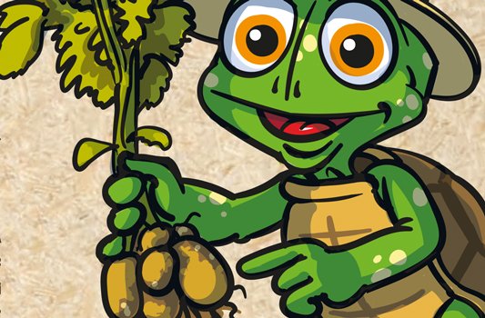 Die fleissige Knolle