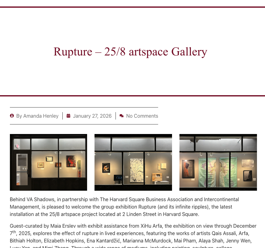 Behind VA Shadows.png