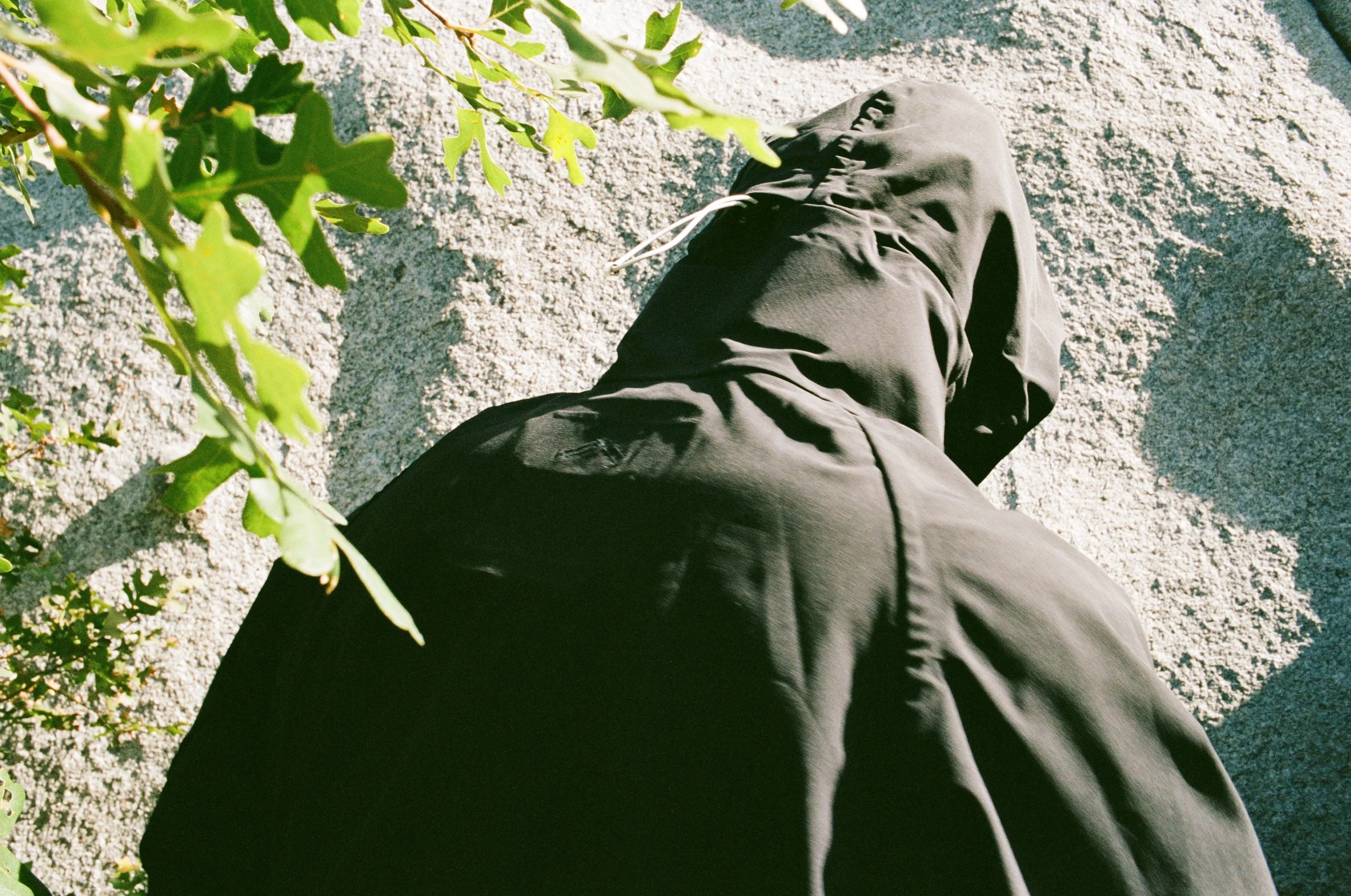 Rheology Shell Concept