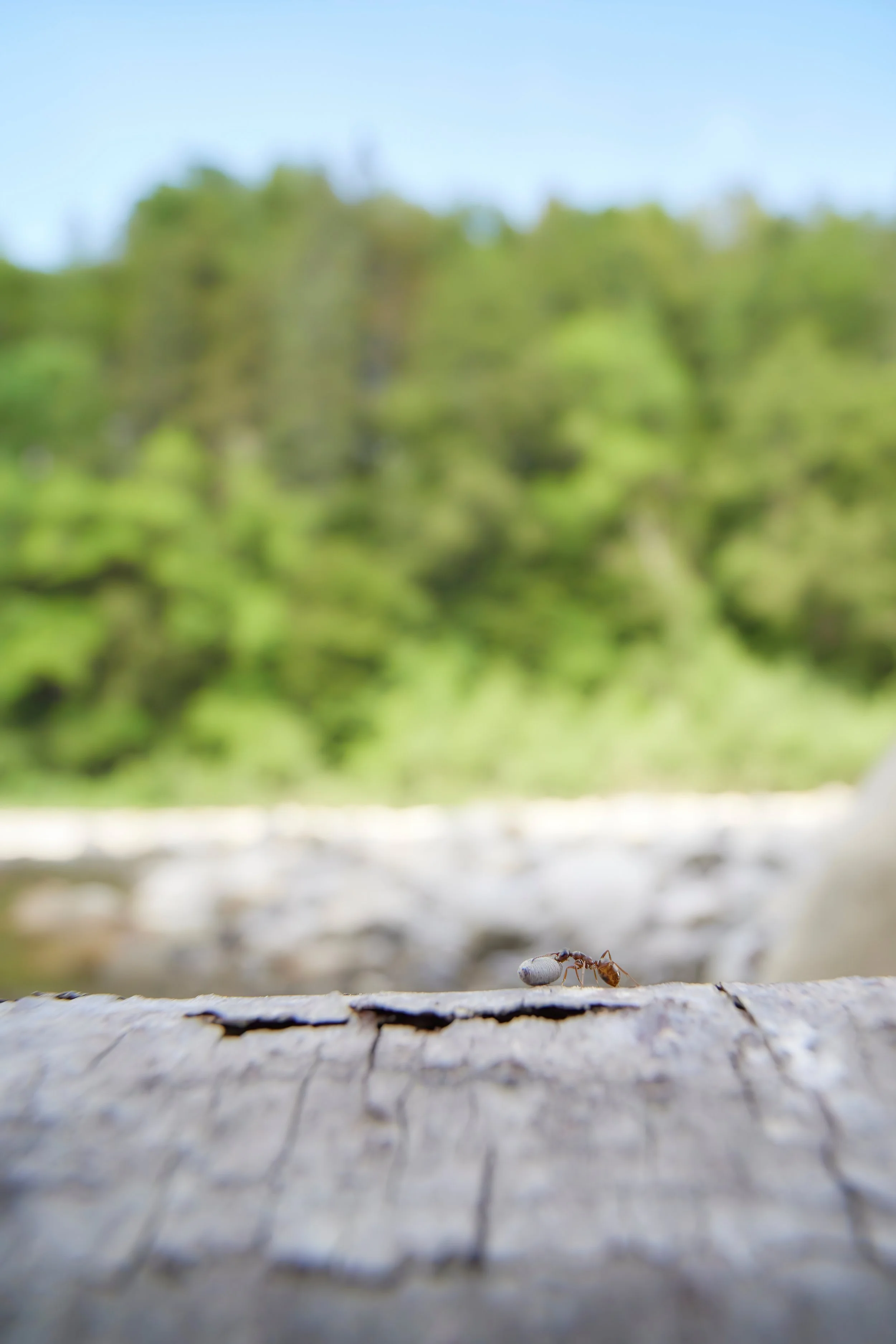 3N6A3774 kleinkleinklein.jpg