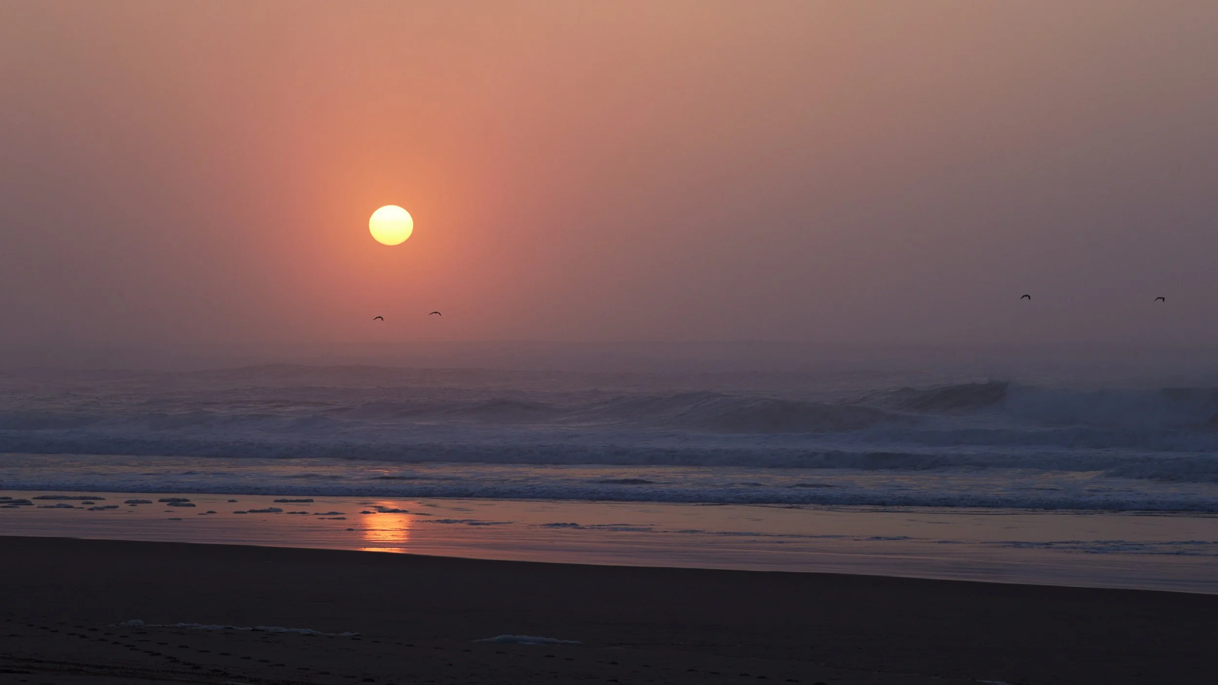 Baskenland-lekeitio-Spanien--kohli-marco 22.jpg