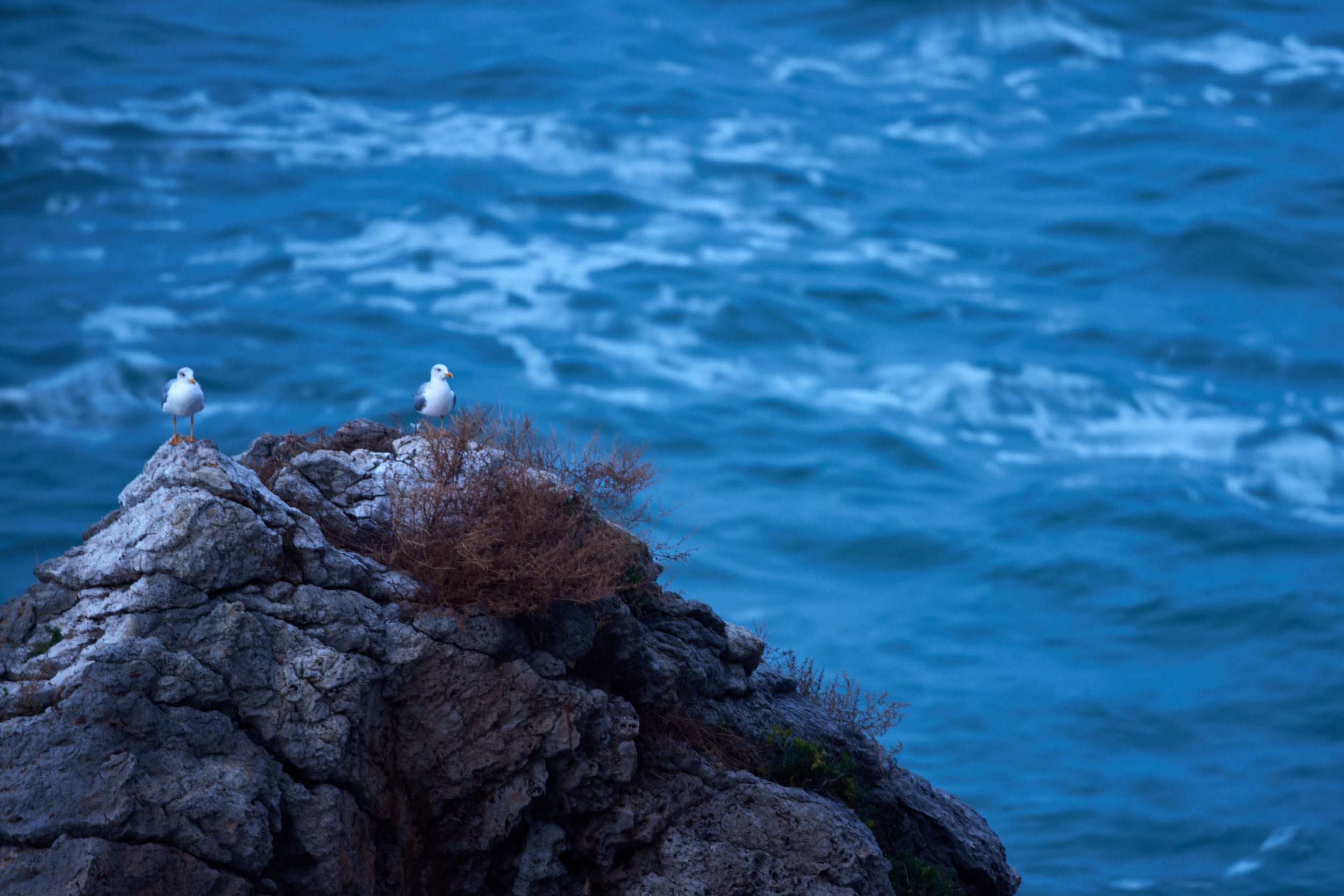 Baskenland-lekeitio-Spanien--kohli-marco 16.jpg