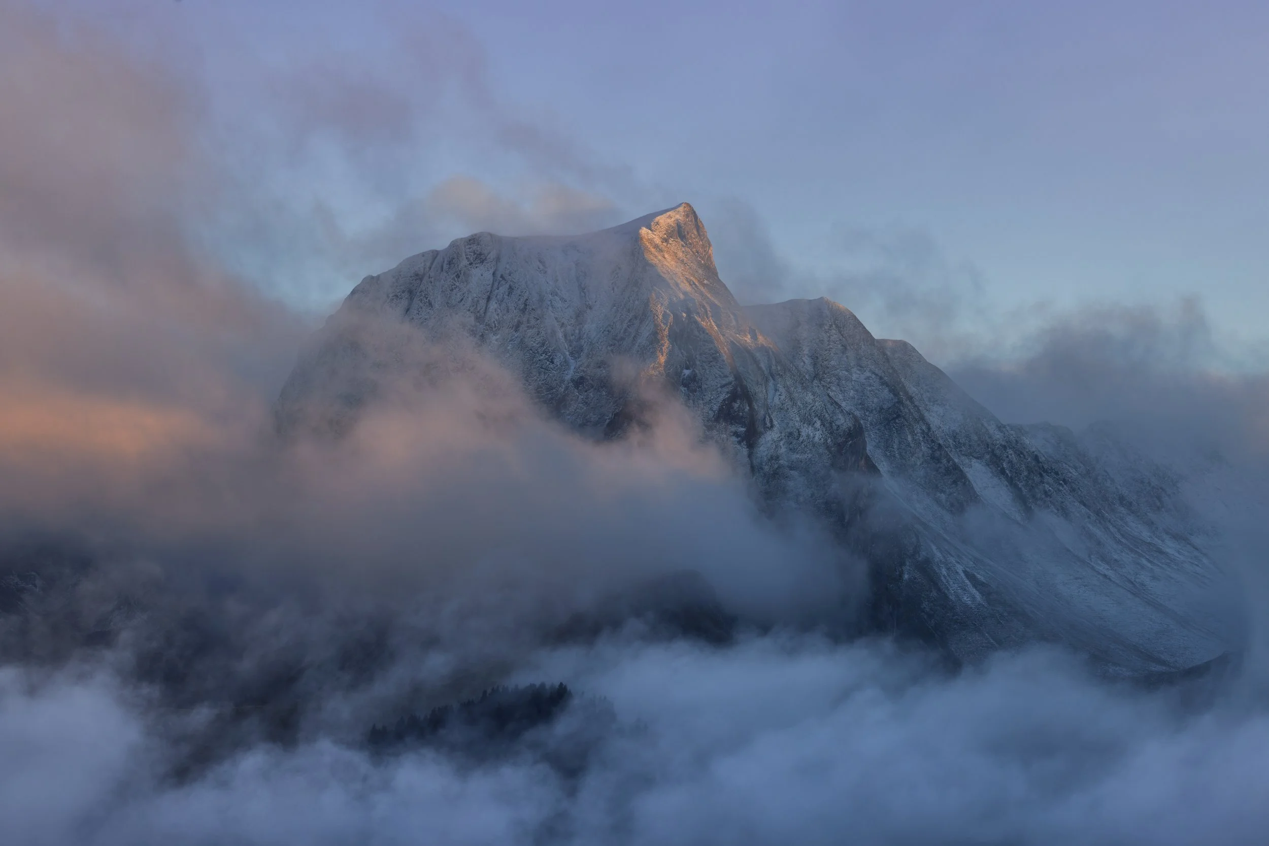 3N6A4677_1-CR3-DxO_DeepPRIME XD2_1.jpg