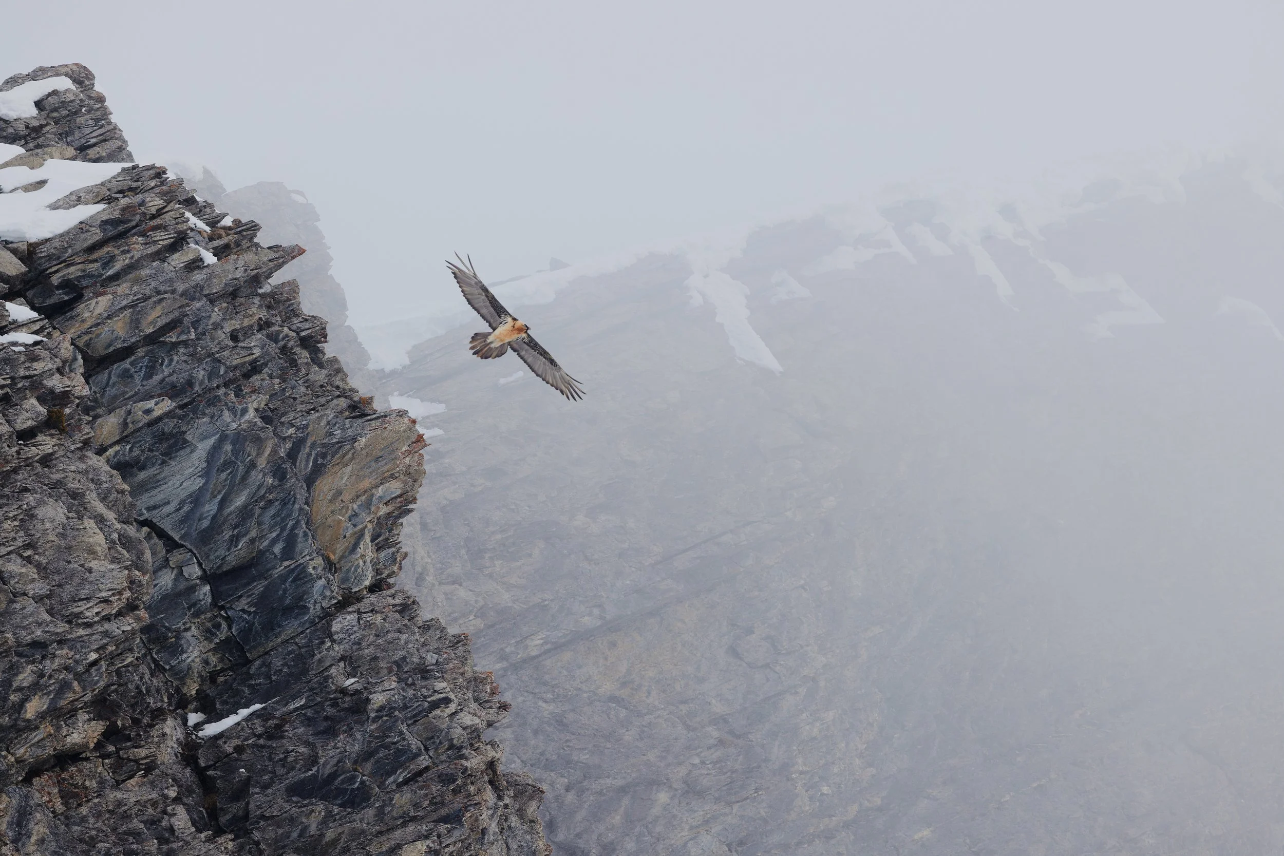 3N6A6166-DxO_DeepPRIME XD2s_1.jpg