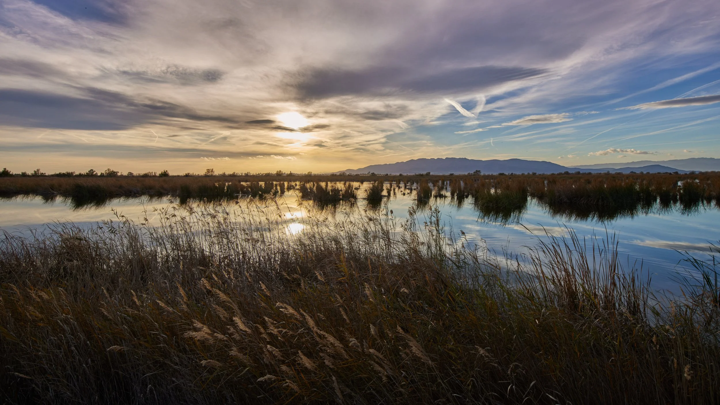 Elbro-Spanien-Gallocante-kohli-marco 9.jpg