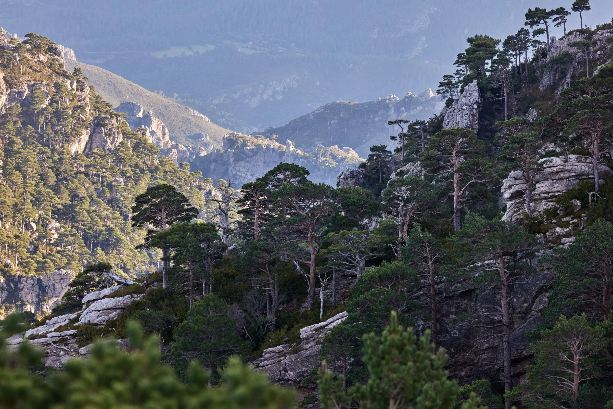 Elbro-Spanien--kohli-marco 2.jpg