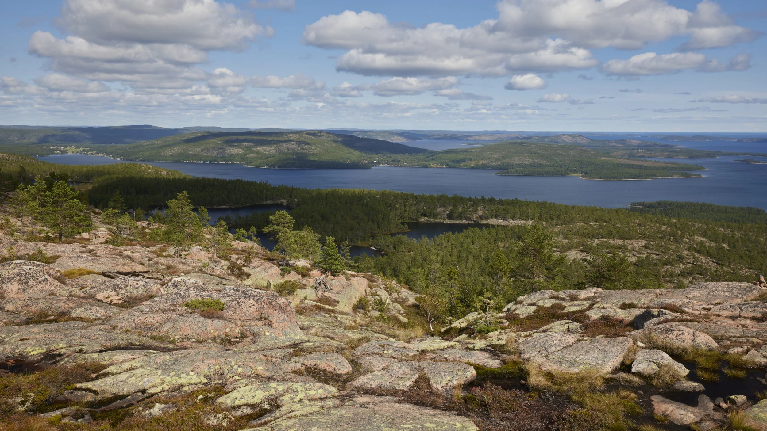 Höga Kusten