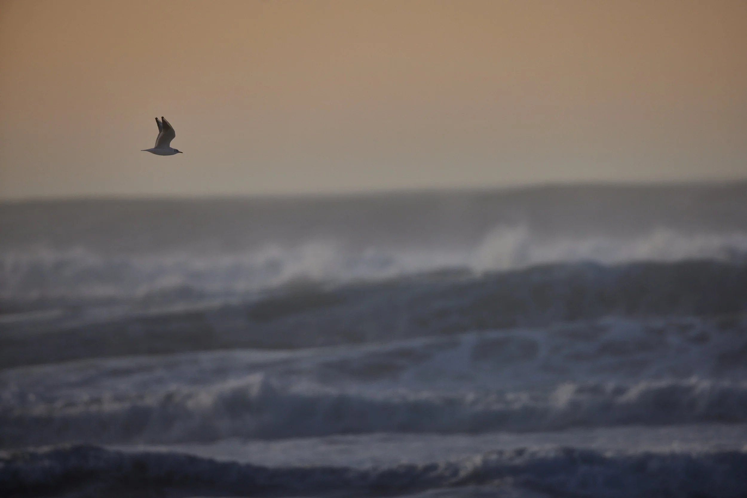 Baskenland-lekeitio-Spanien--kohli-marco 20.jpg