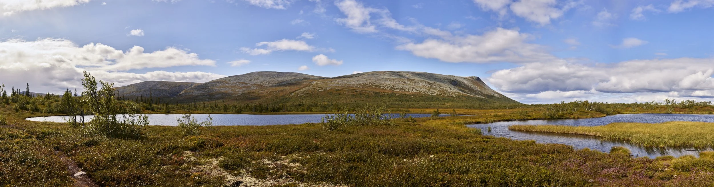 Sonfjället