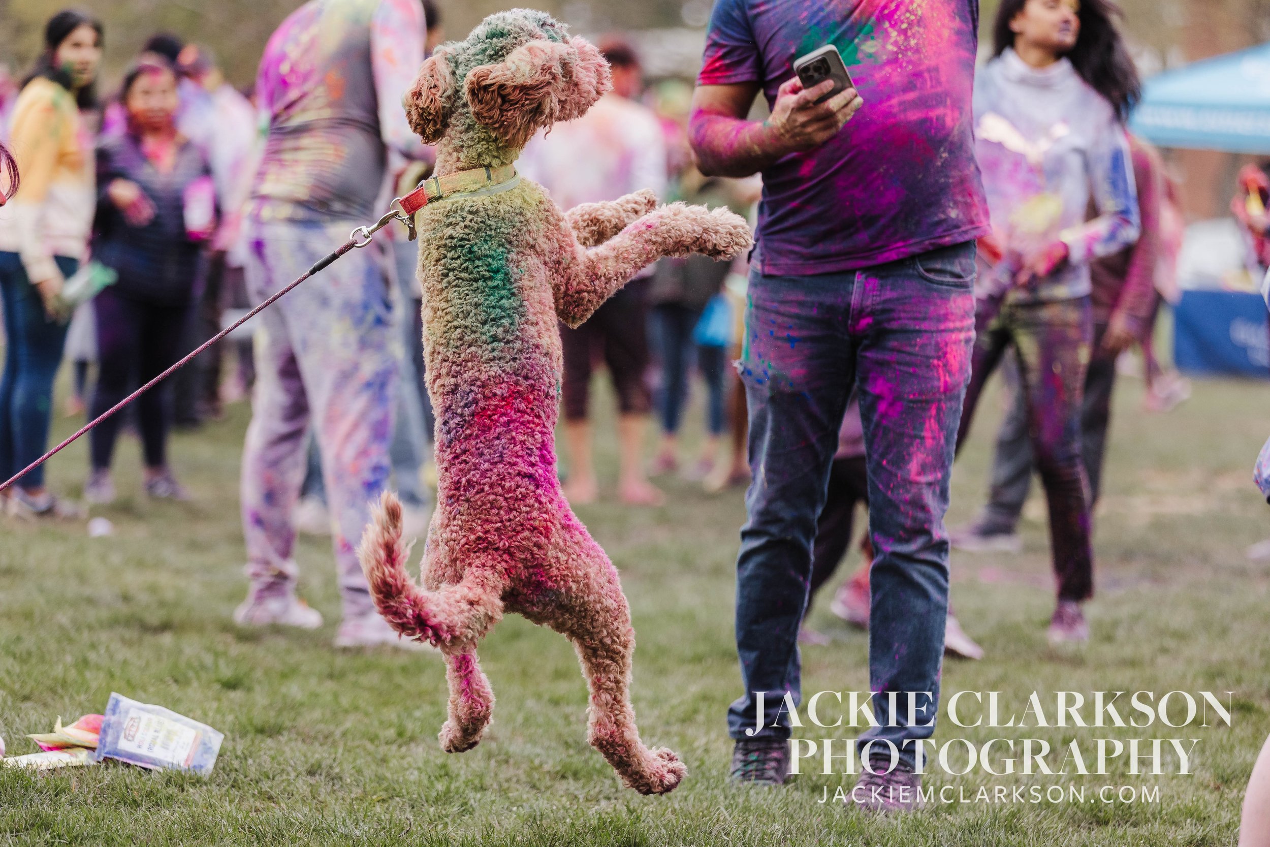 BedfordHoli2024-451.jpg