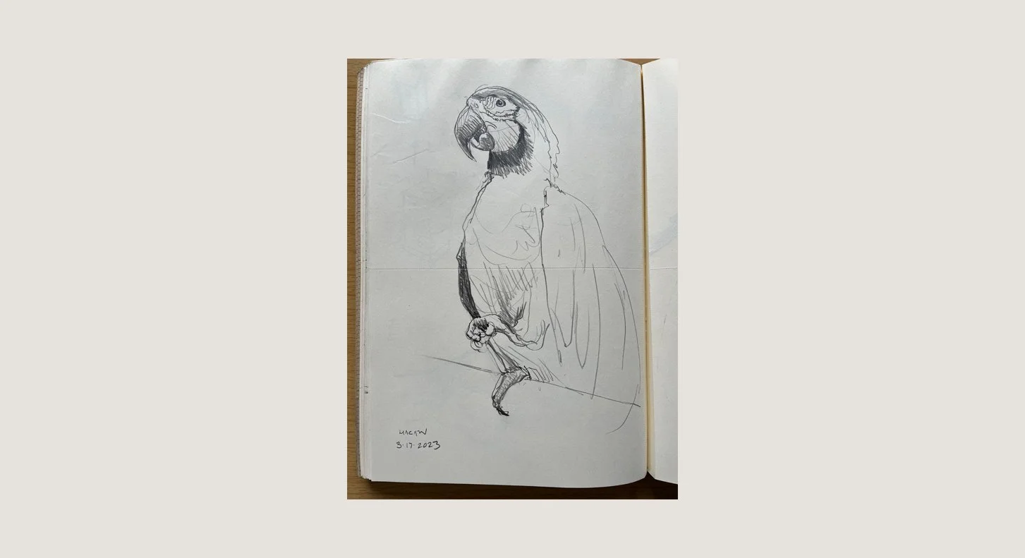 D_Macaw_2023 copy.jpg