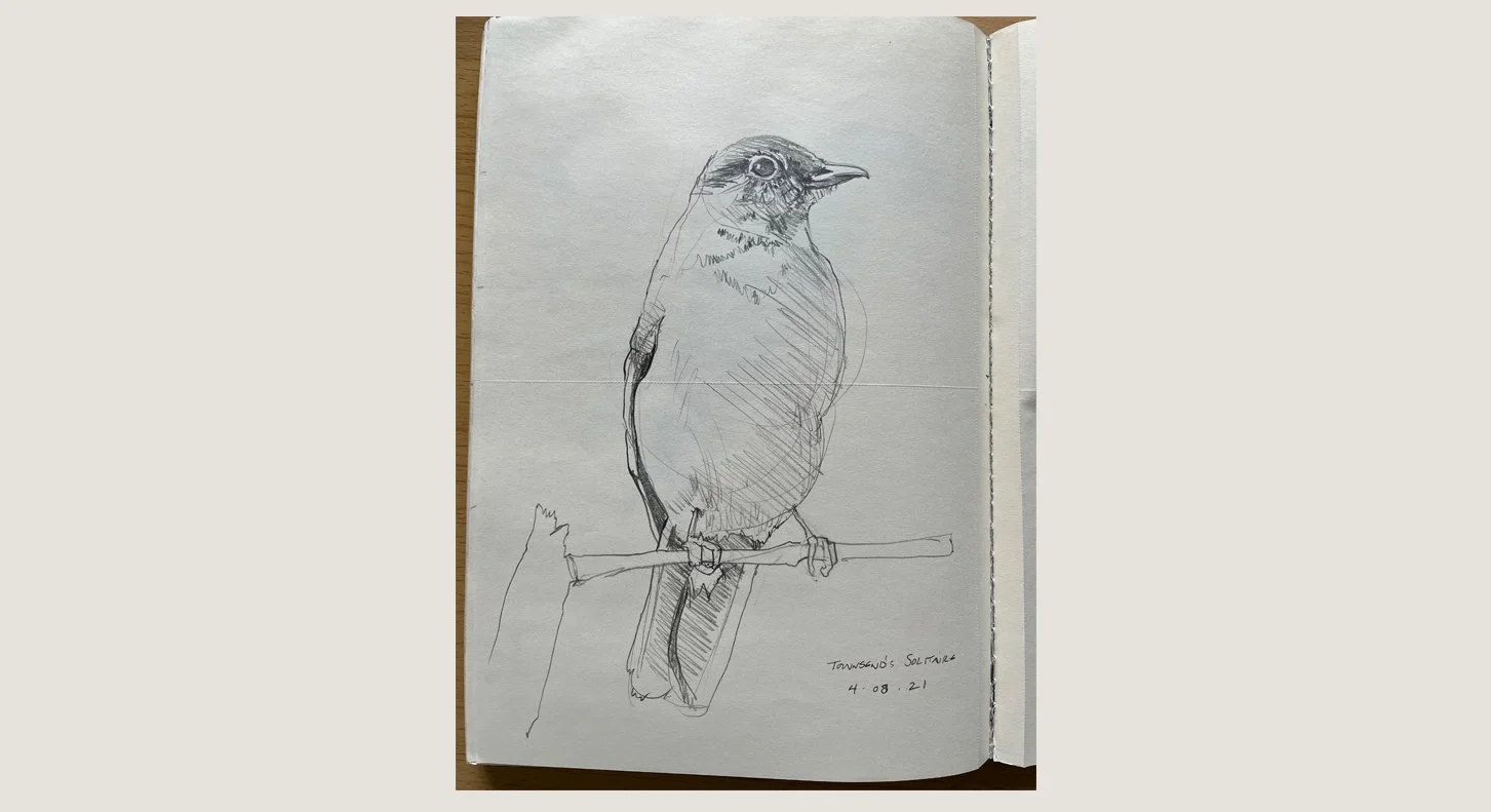 D_Townsend's Solitaire_2021 copy.jpg