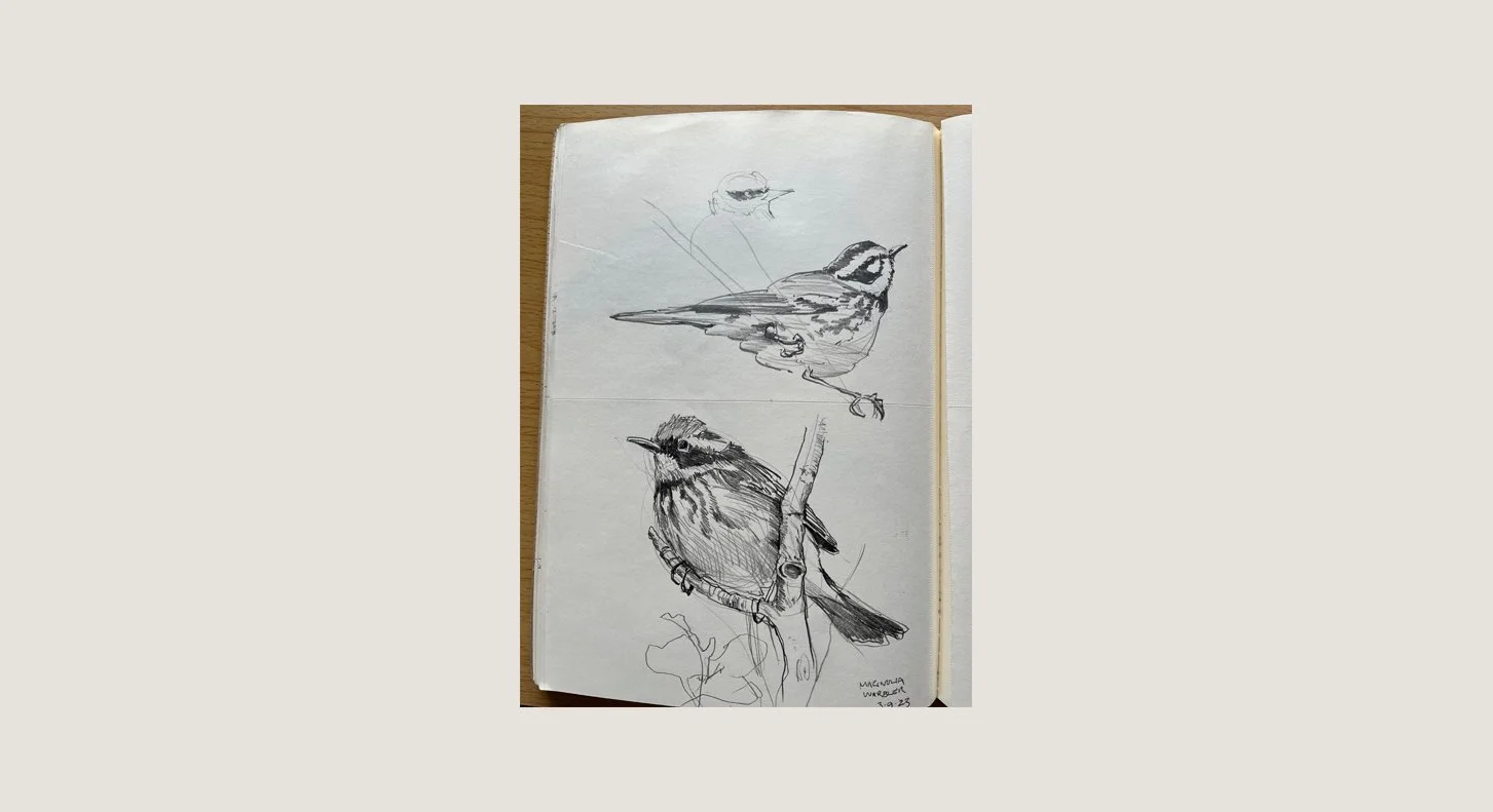 D_Warblers_2023 copy.jpg