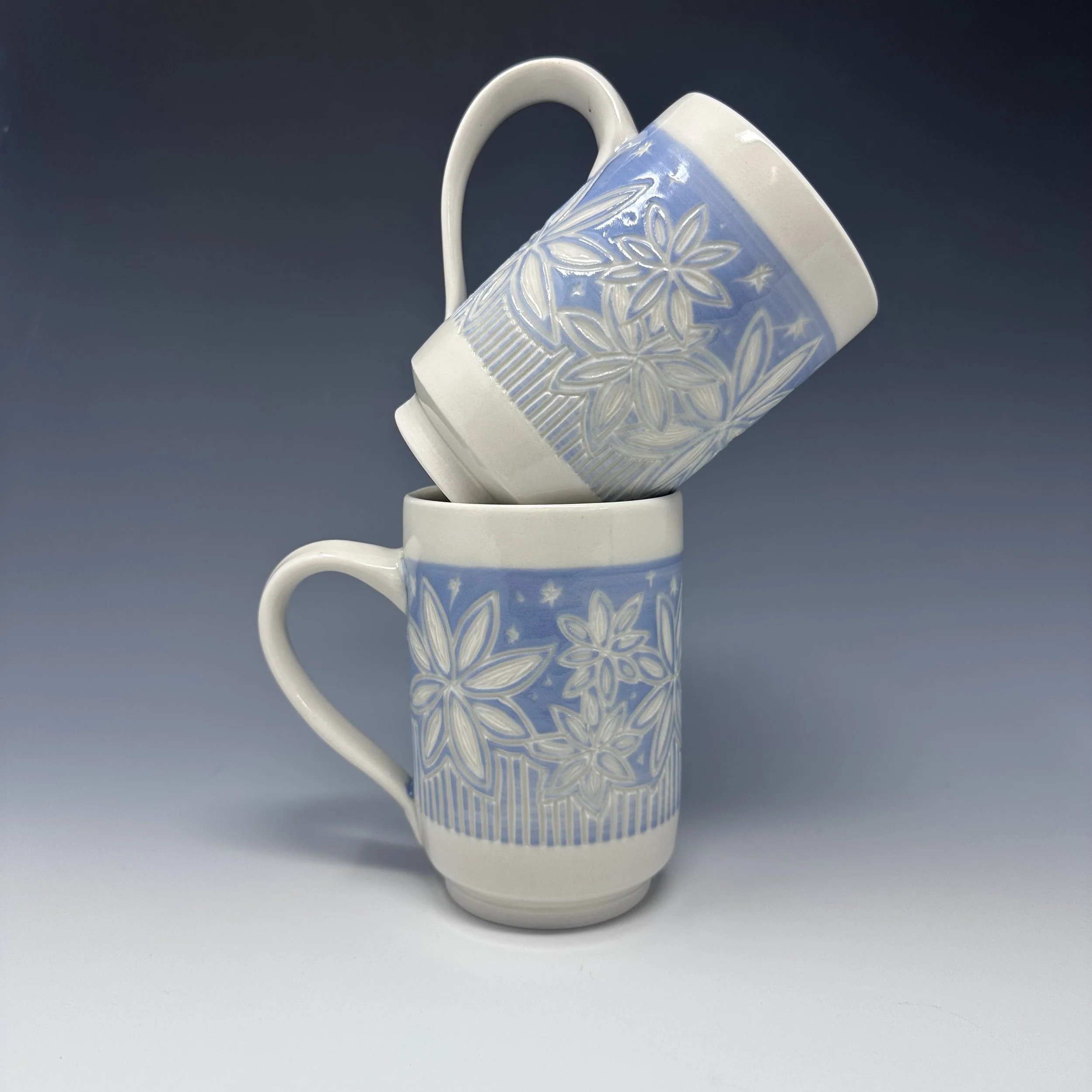 Blue Star Flowers 2.jpeg