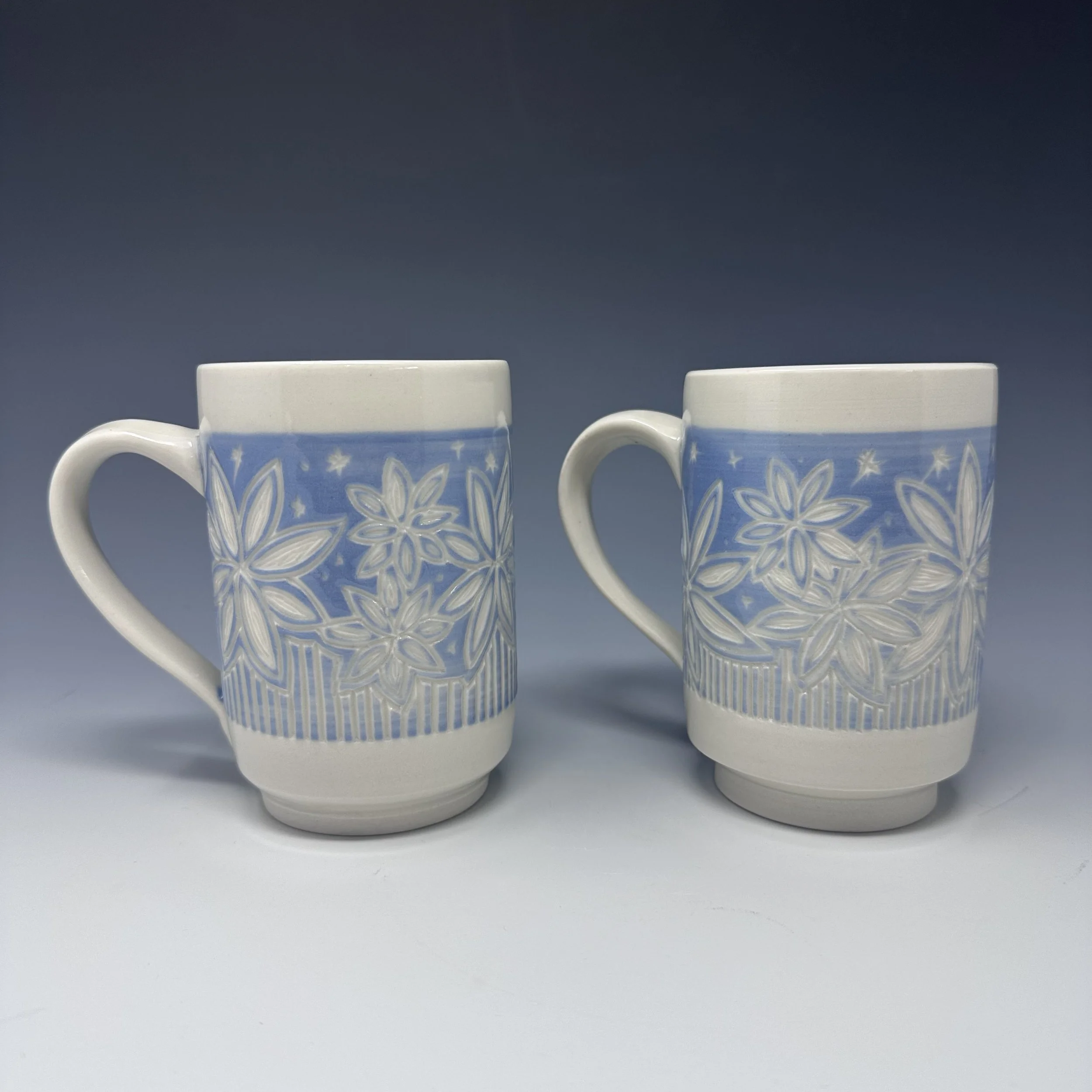 Blue Star Flowers 1.jpeg