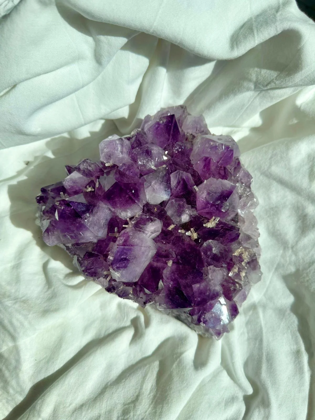 WhatsApp Image 2026-03-23 at 21.53.12 (1).jpeg