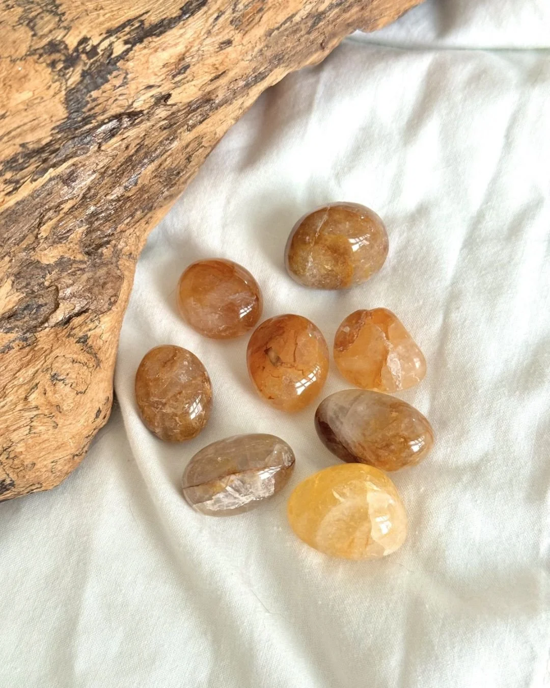 GOLDEN HEALER - DE BOLSO