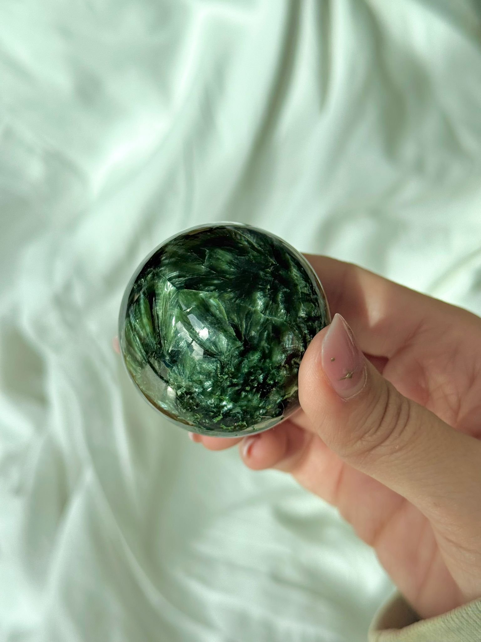 WhatsApp Image 2026-03-25 at 10.20.09.jpeg