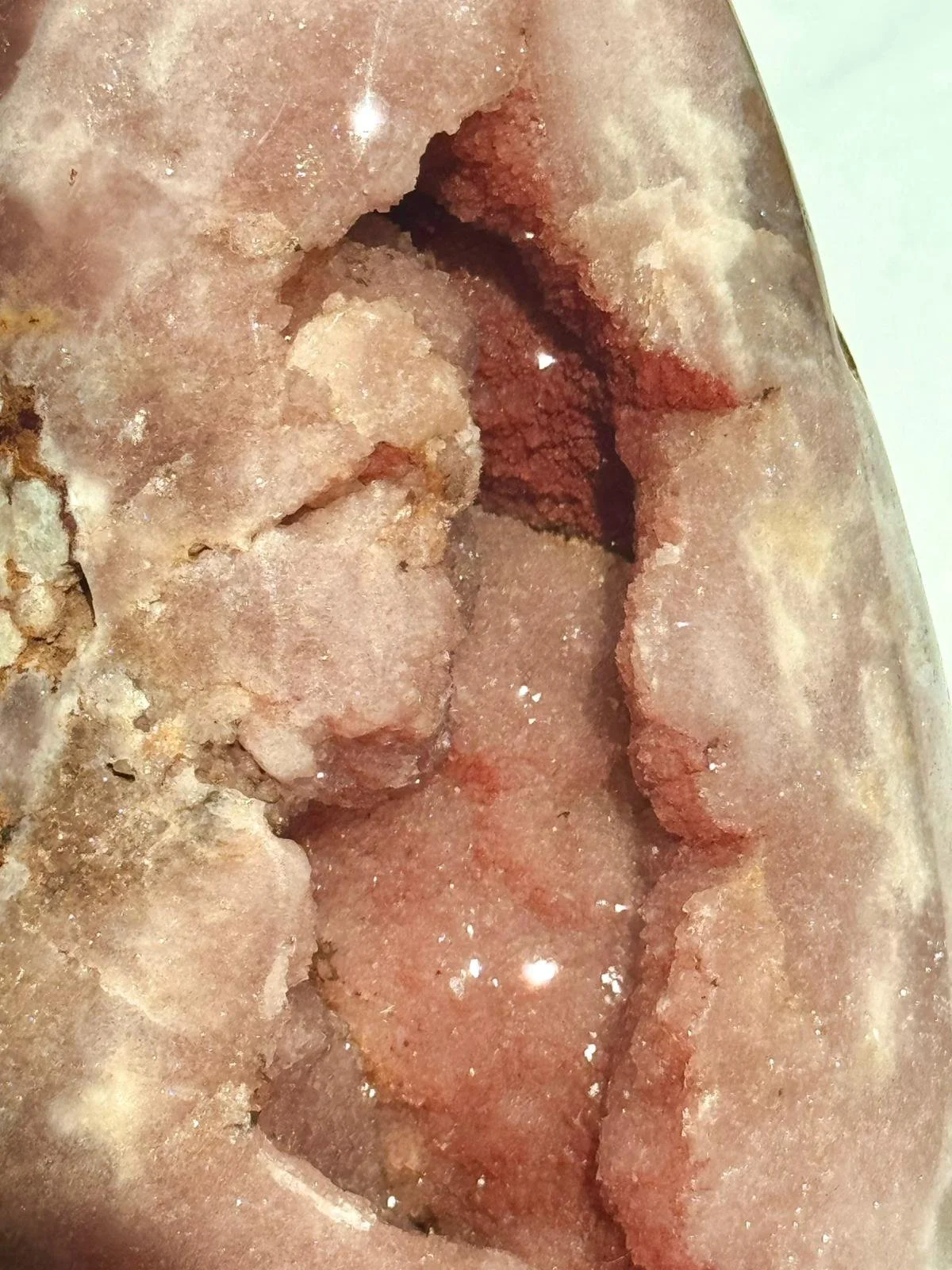 WhatsApp Image 2026-03-23 at 21.53.20 (1).jpeg