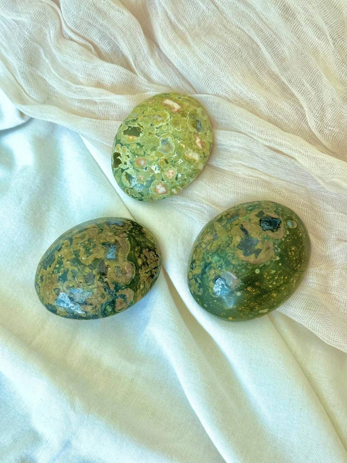 JASPE RIOLITE - PALMSTONE