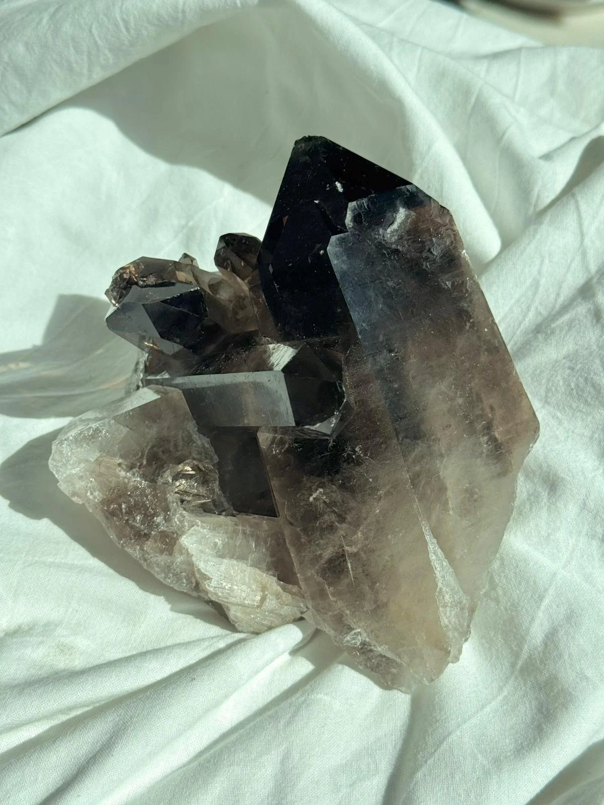 WhatsApp Image 2026-03-23 at 21.53.13 (1).jpeg