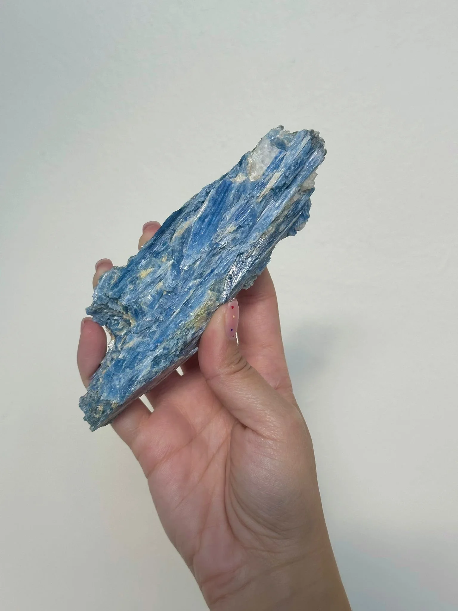 Imagem WhatsApp 2025-12-08 às 20.27.23_a3feb5f9.jpg