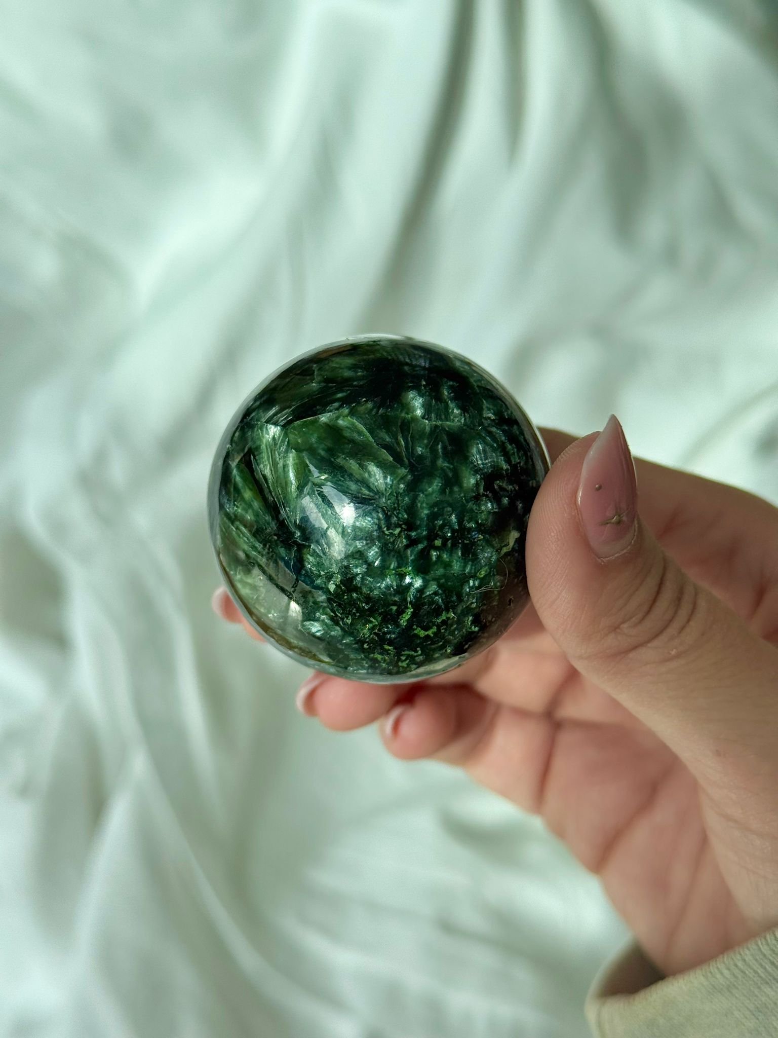 WhatsApp Image 2026-03-25 at 10.20.09 (1).jpeg