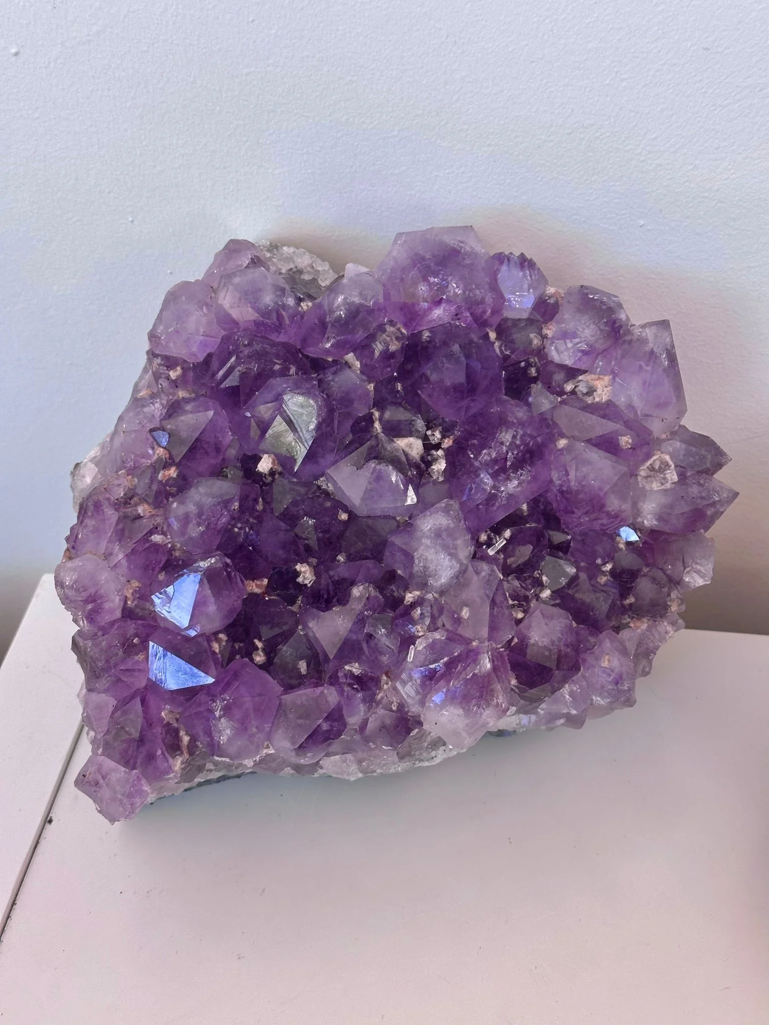 Imagem WhatsApp 2025-11-26 às 15.03.24_72ccd24d.jpg