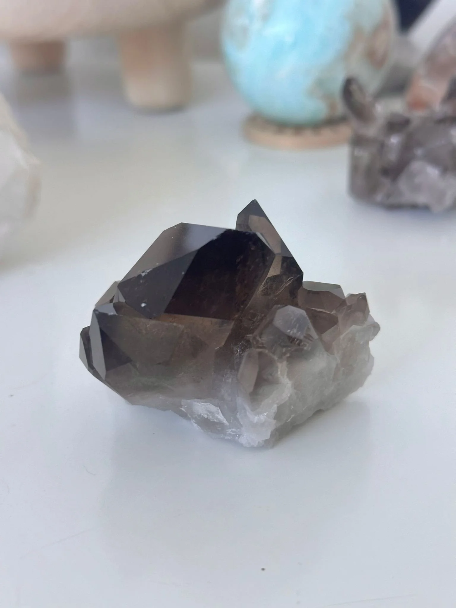 Imagem WhatsApp 2025-11-26 às 15.46.55_5fbaf6ae.jpg