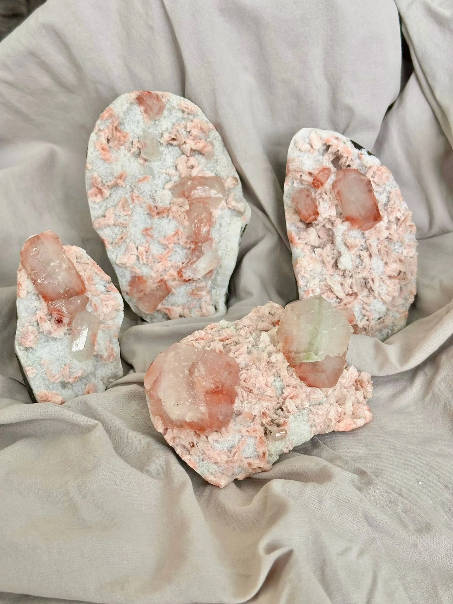 todas apofilites pessego.jpeg