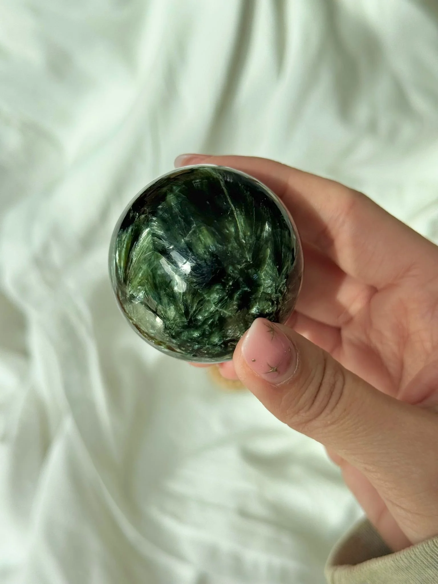 WhatsApp Image 2026-03-25 at 10.20.08.jpeg