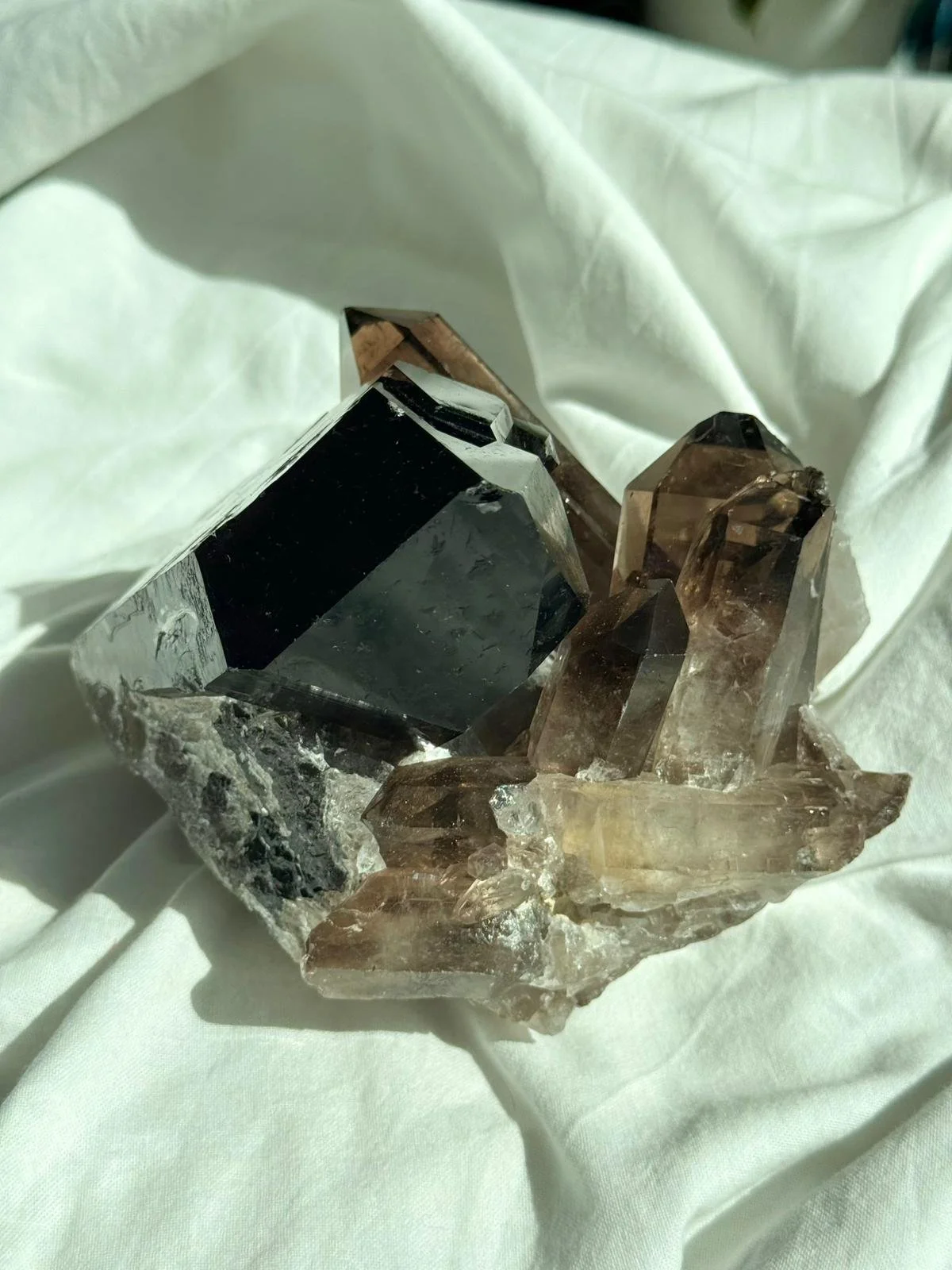 WhatsApp Image 2026-03-23 at 21.53.13 (3).jpeg