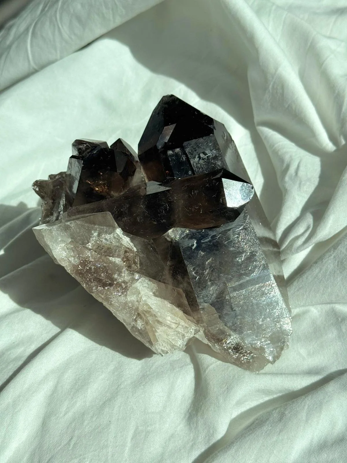 WhatsApp Image 2026-03-23 at 21.53.14 (1).jpeg