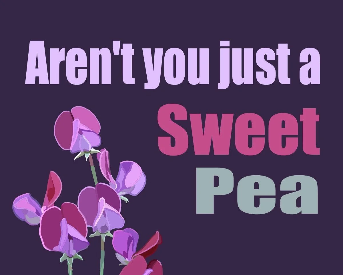 SweetPea.jpg