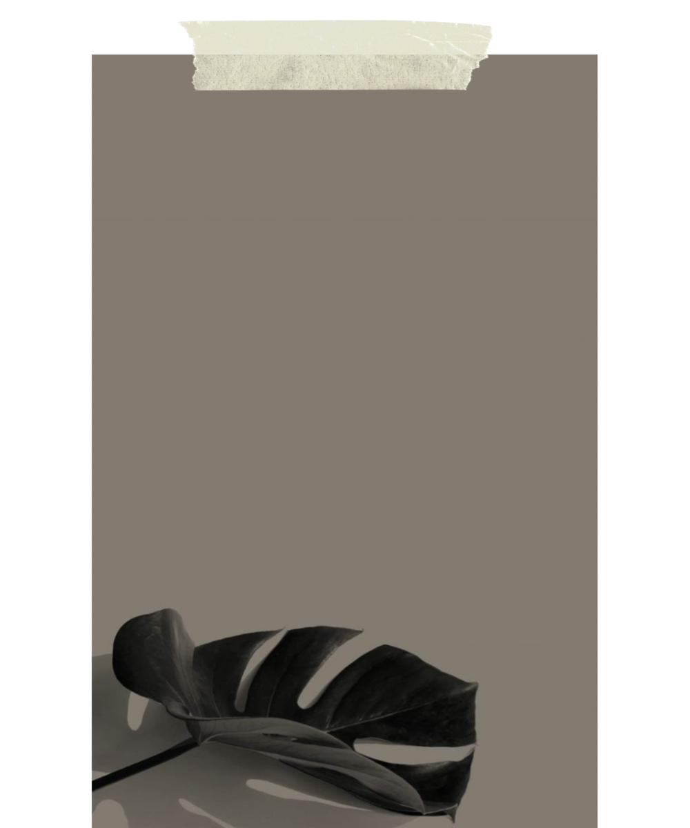 A black and white photograph of a large Monstera leaf lying on a flat surface against a plain background.