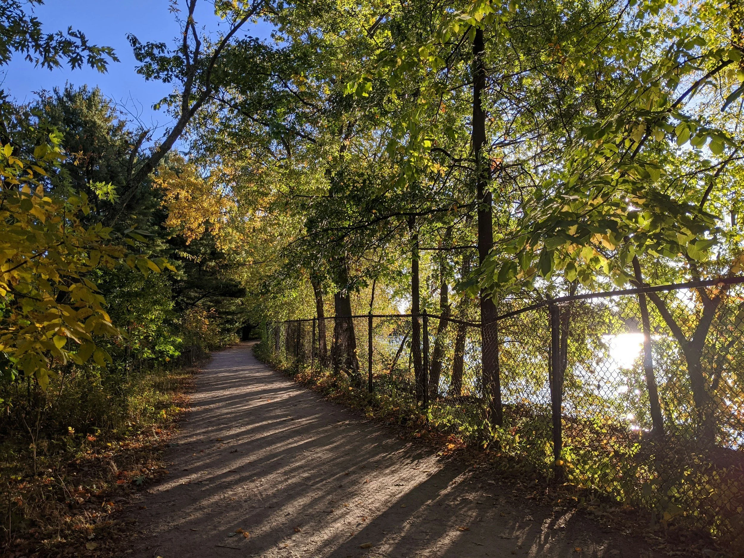 Fresh Pond Fun: What to Do Before or After Your Mobility PT Visit