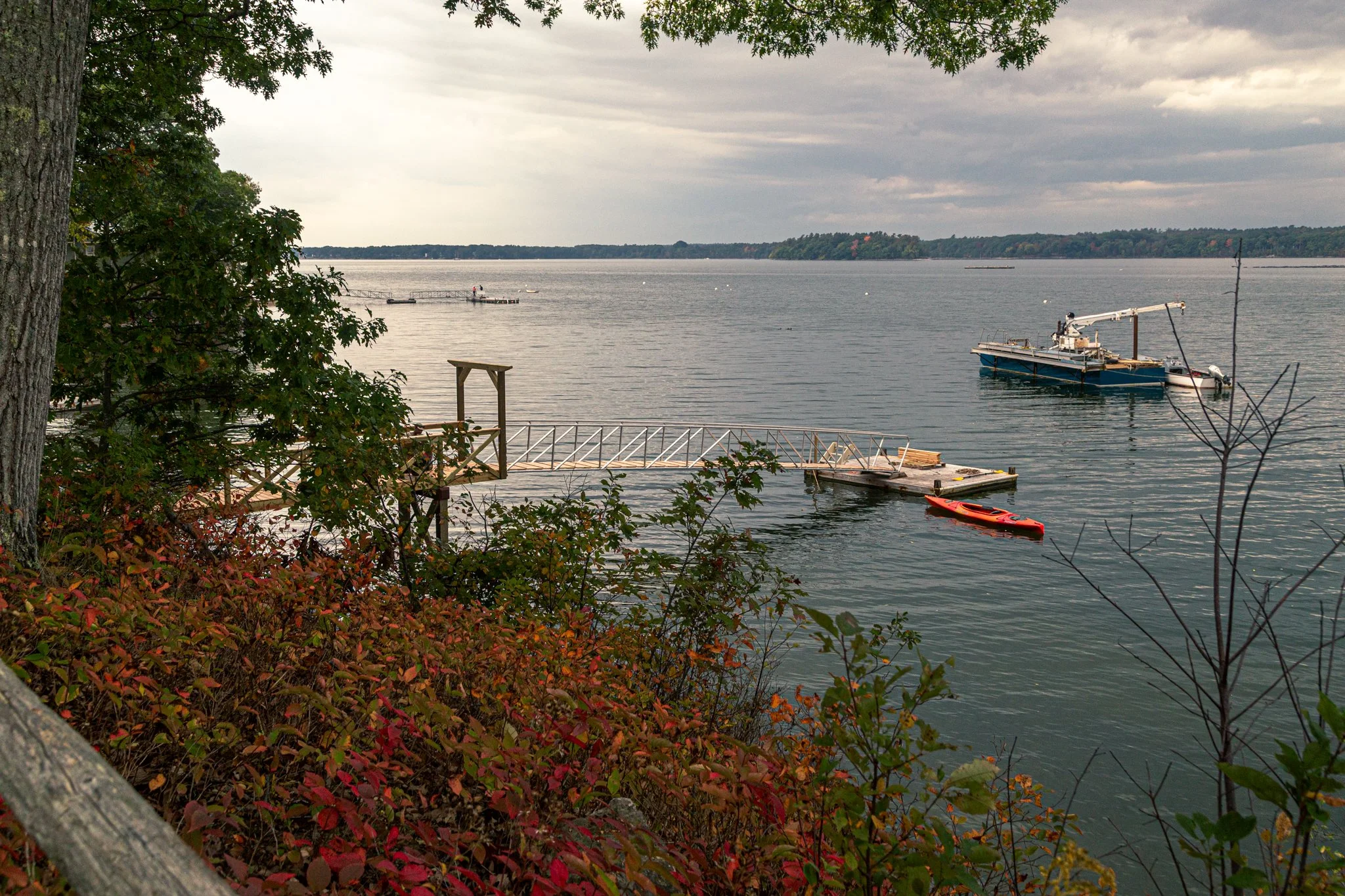 _MG_8544.jpg