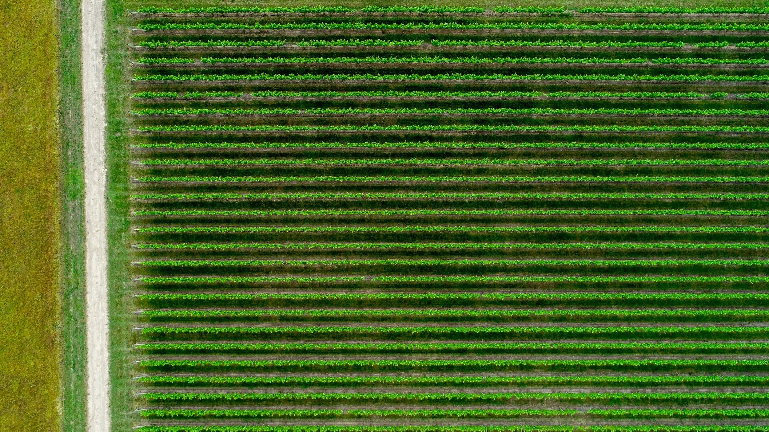 Oranssi technician working on a roof project