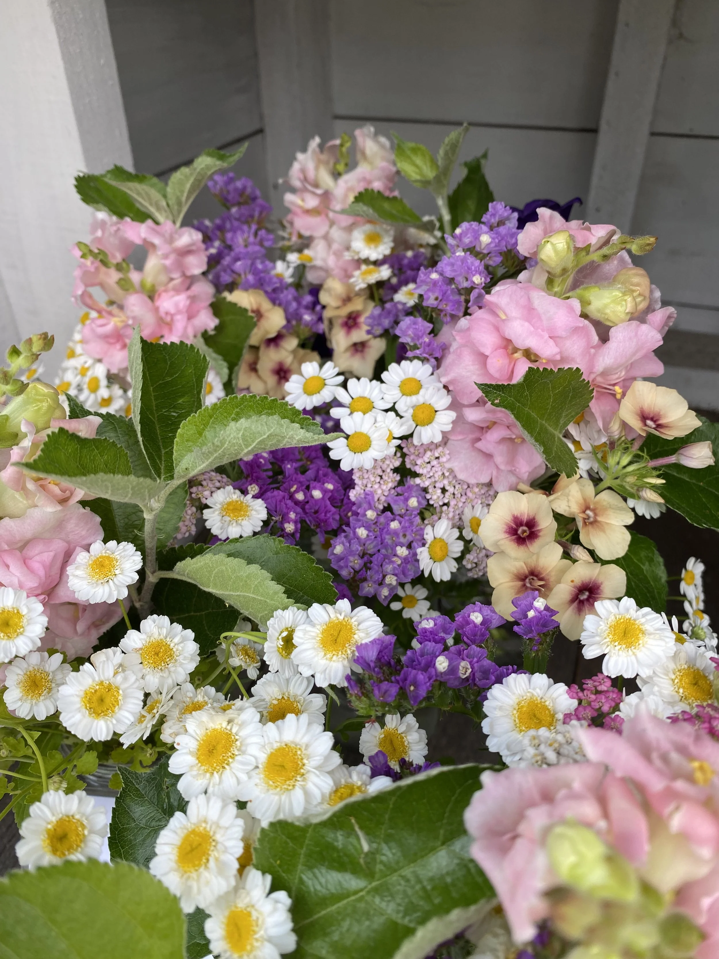 flowers 4.jpeg
