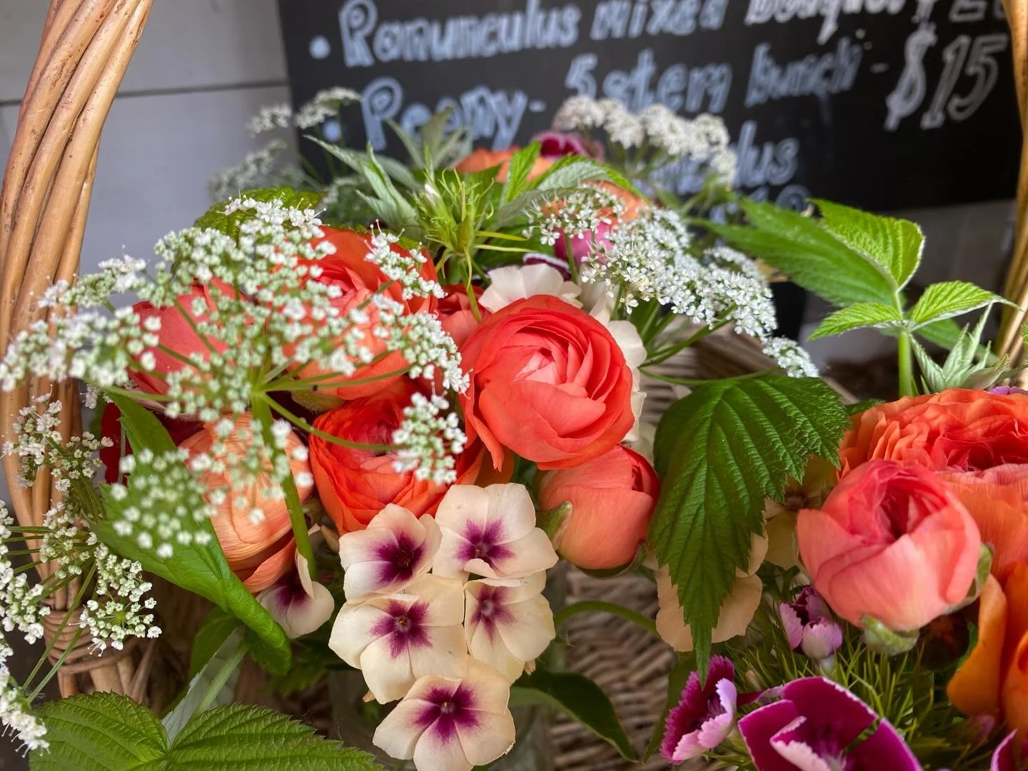 Few examples of last year&rsquo;s early June bouquets.  This year we expect to have ranunculus much earlier in May, so stay tuned for Mother&rsquo;s Day bouquet updates! #freshcutflowers #honeoyefallsny #ranunculusbouquet #meetinghouseflowers