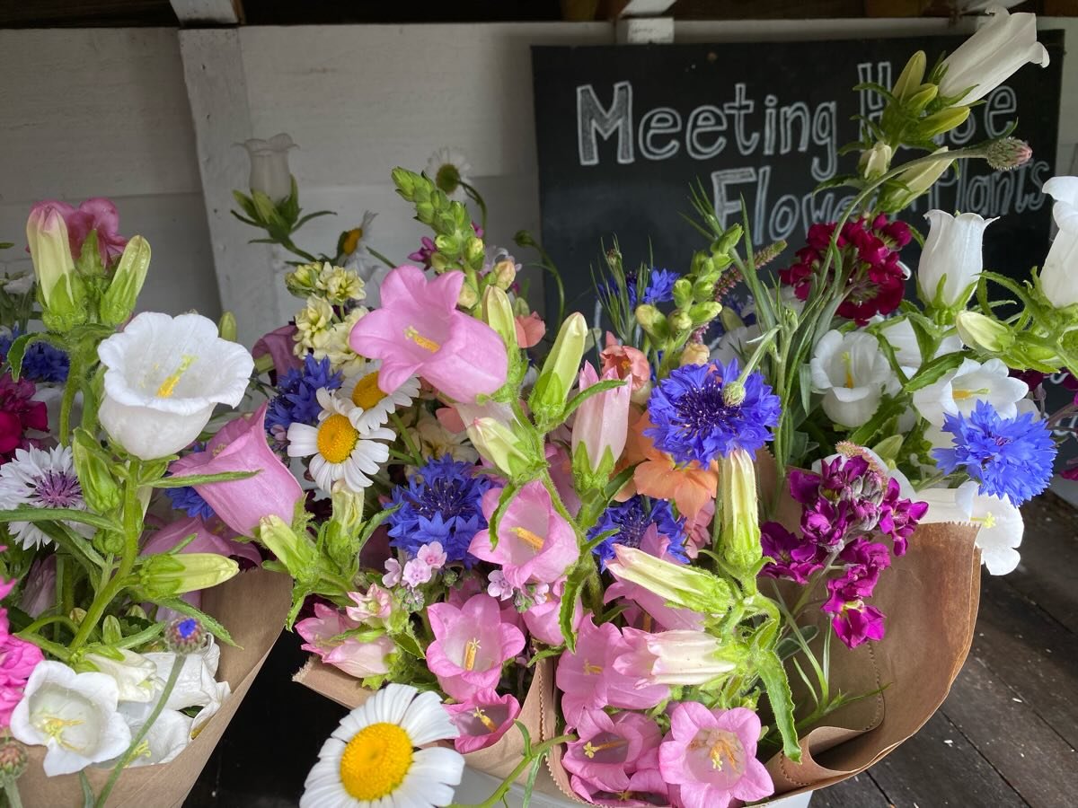 We&rsquo;re putting out some wrapped bouquets this evening, featuring bell flower (Campanula). The flower cooler is full and we need to make room, so if you&rsquo;re driving by tonight, grab some beautiful Campanula, they have an excellent vase life!