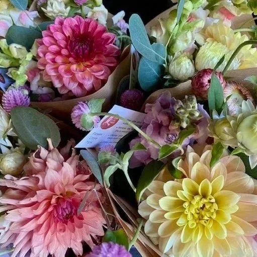 DahliaMixBouqAug.jpg
