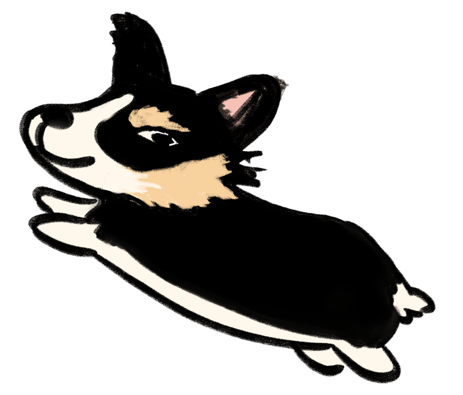Corgi Creek