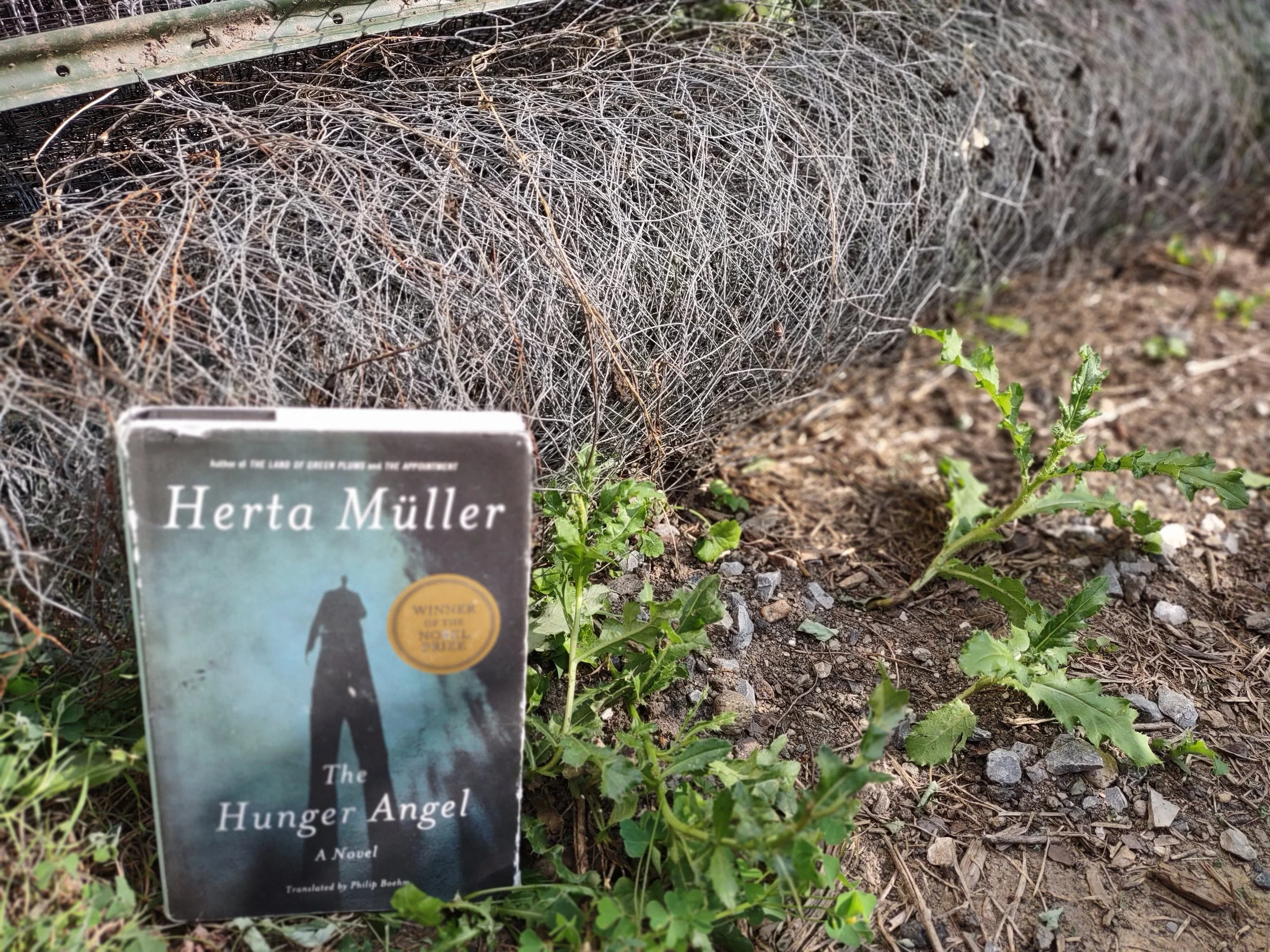 The Hunger Angel — Le Bon Nobel 