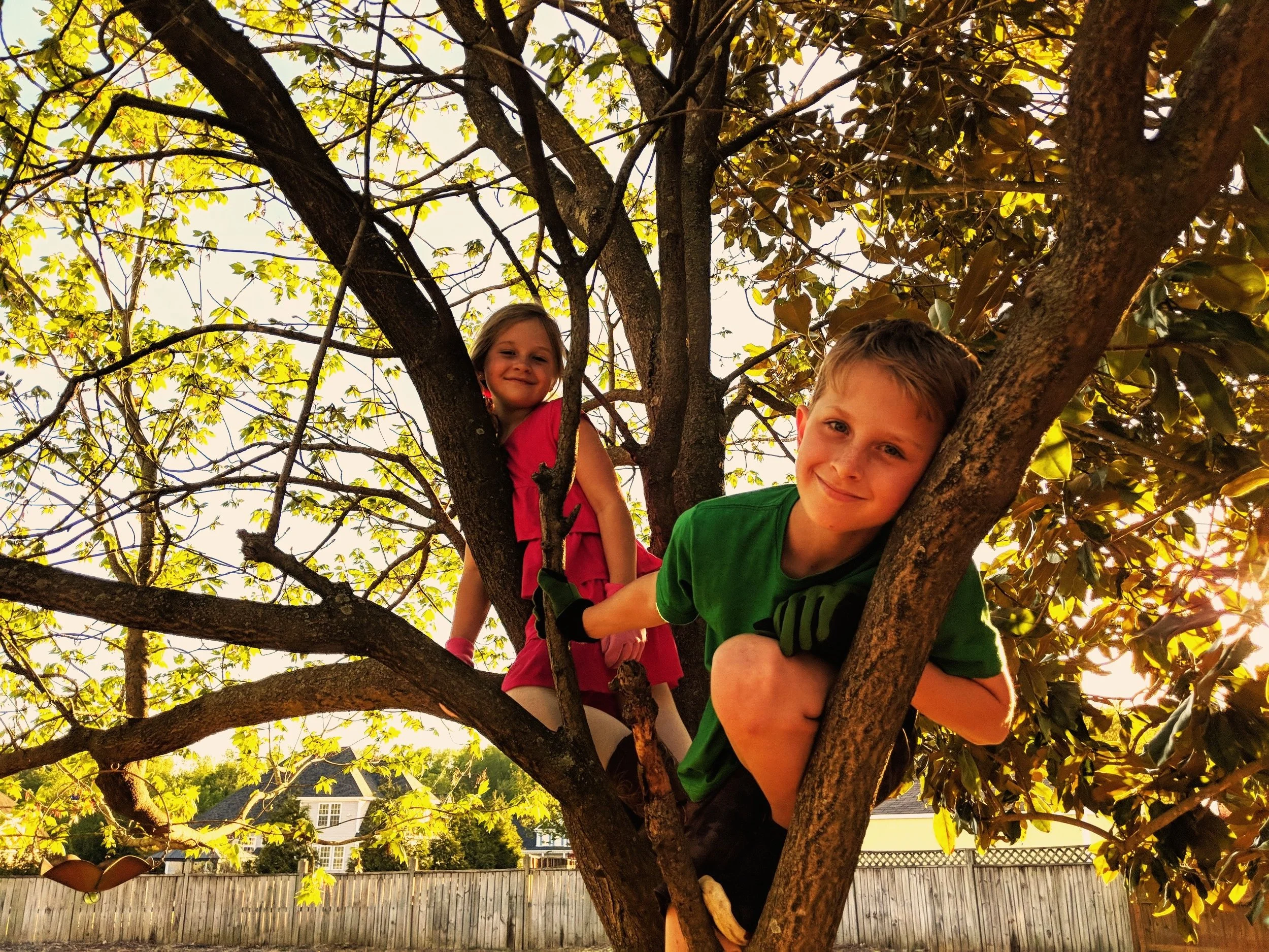 bubba & lucy in maple.jpg